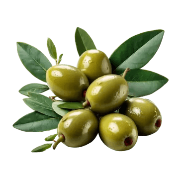 Olive Machines