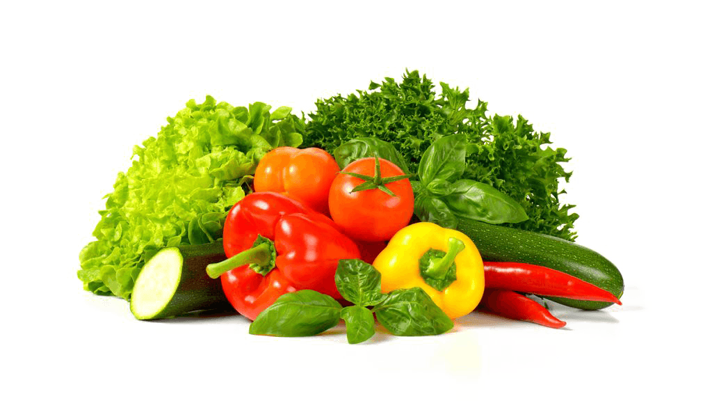 Vegetable Choppers