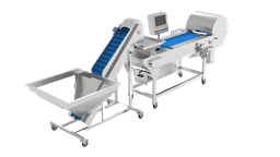 CH15 Olive Color Sorting Machine - Image 1