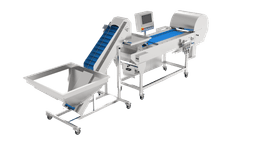 CH30 Olive Color Sorting Machine 1