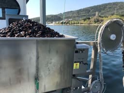 Mussel Seeding Machine 3