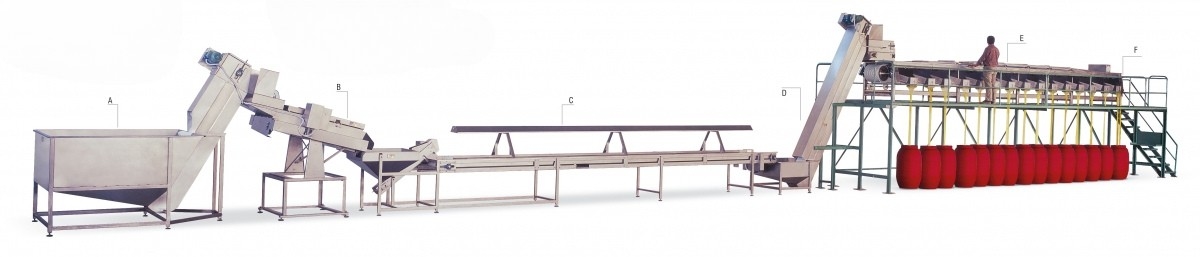 Olive Stem Removal, Sorting, and Sieving Line