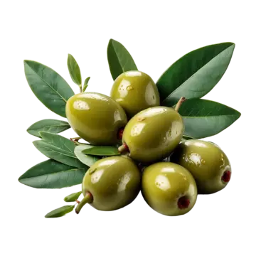 Olive Machines